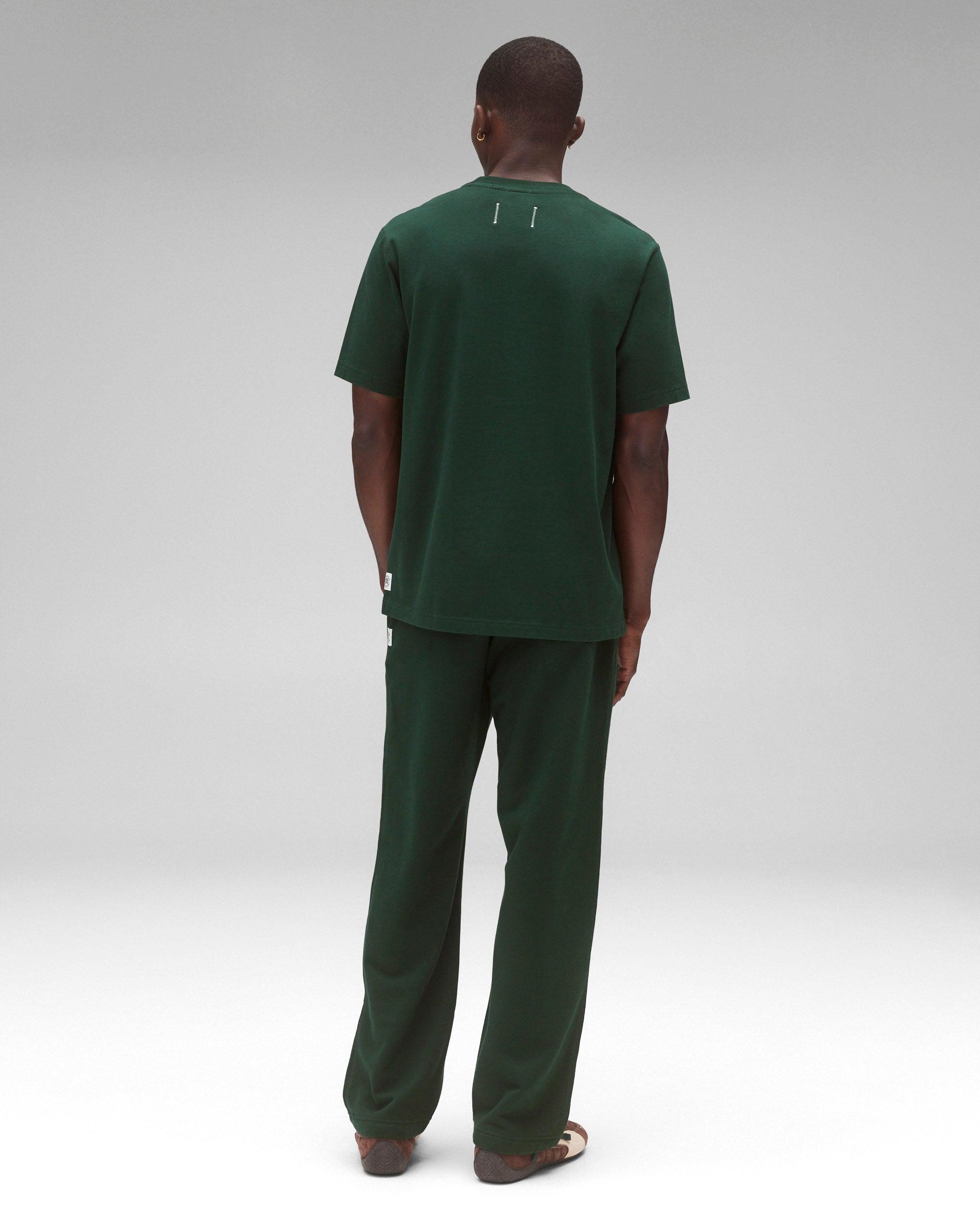 Lightweight Jersey Standard Raglan T-Shirt Male Product Image