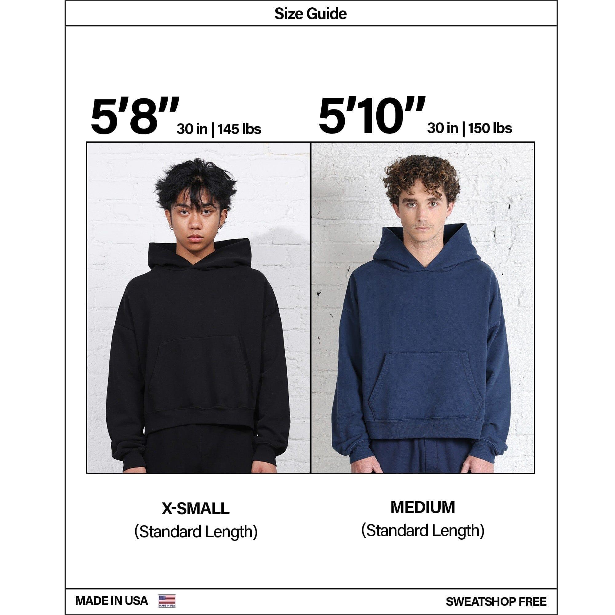 The Bowery Crop Hoodie Male Product Image