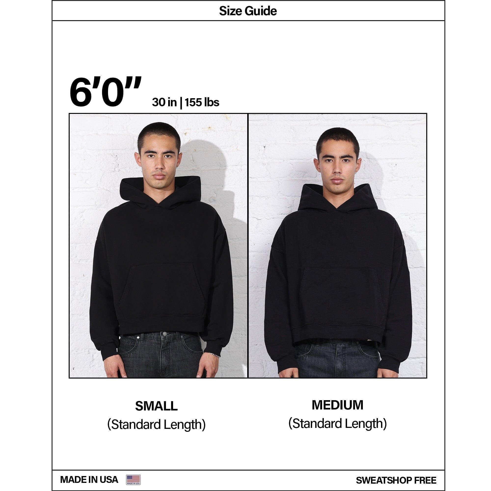 The Bowery Crop Hoodie Male Product Image