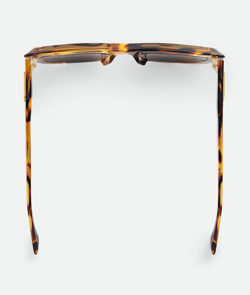 Women's Classic Cat Eye Sunglasses in Havana/brown Product Image