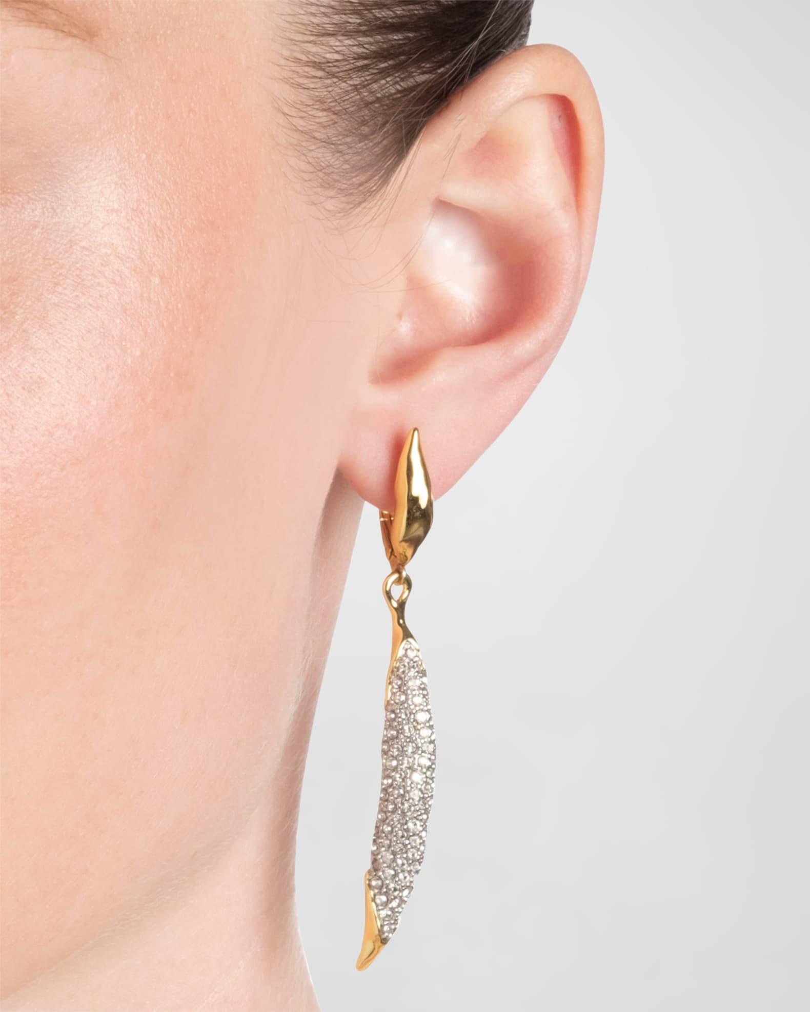 Solanales Crystal Sliver Leverback Earrings Product Image