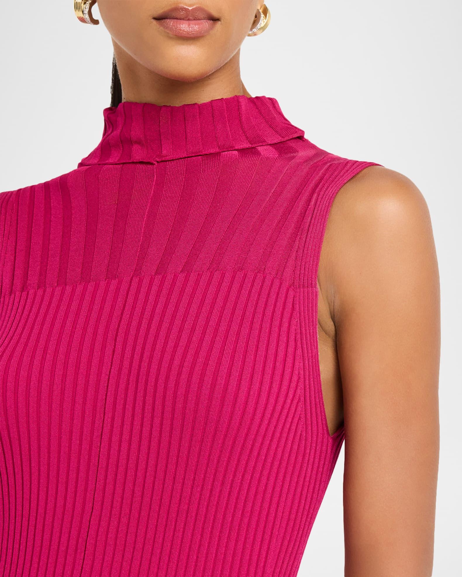 Maia Ribbed Turtleneck Dress Product Image