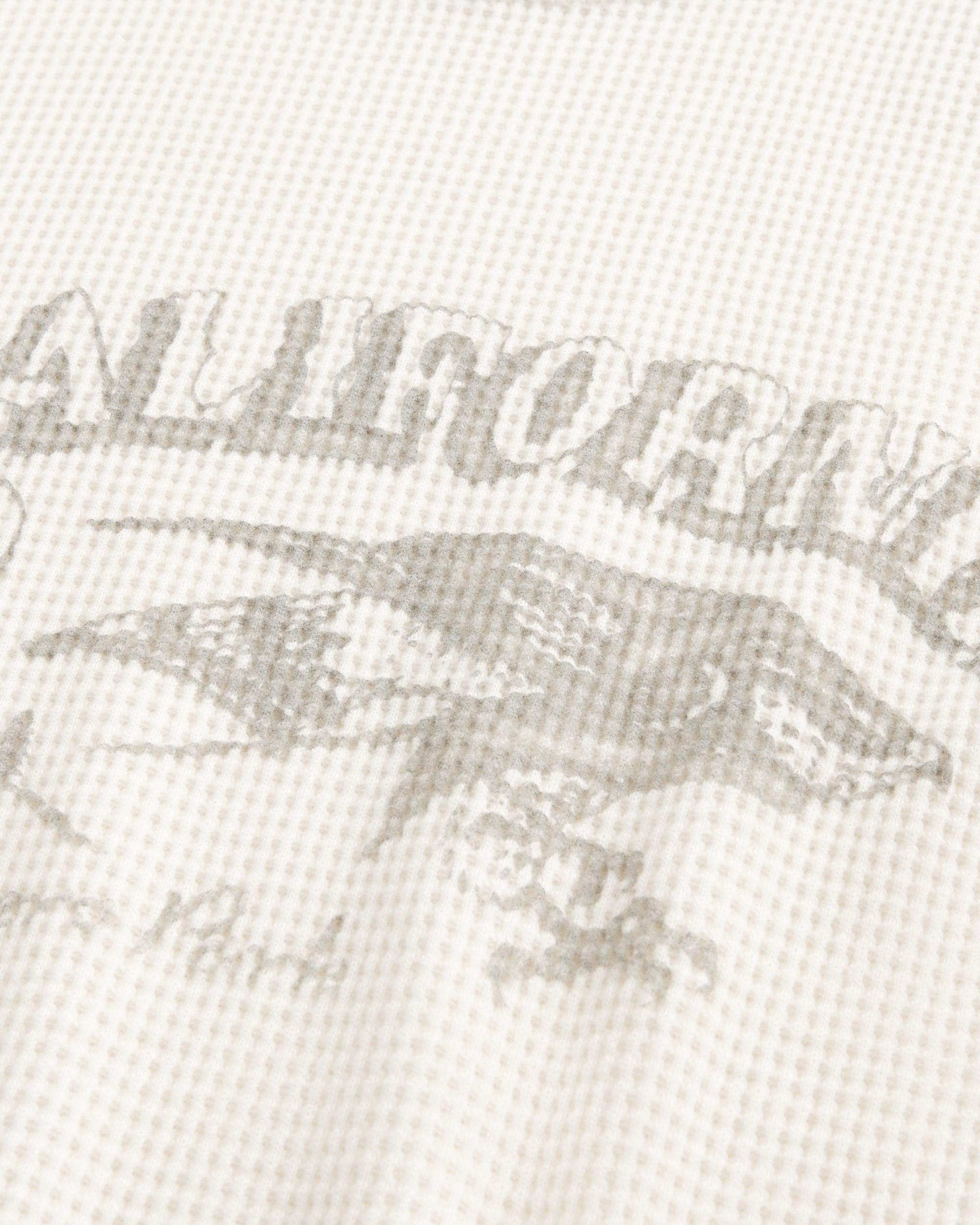 Long-Sleeve Waffle Michigan Graphic Tee Product Image