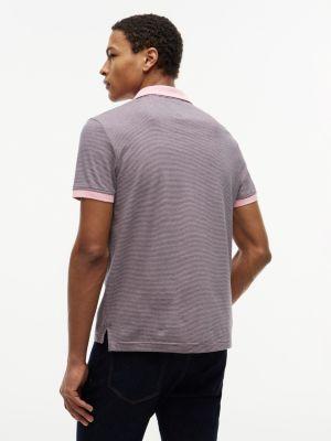 Regular Fit Stripe Interlock Polo Product Image