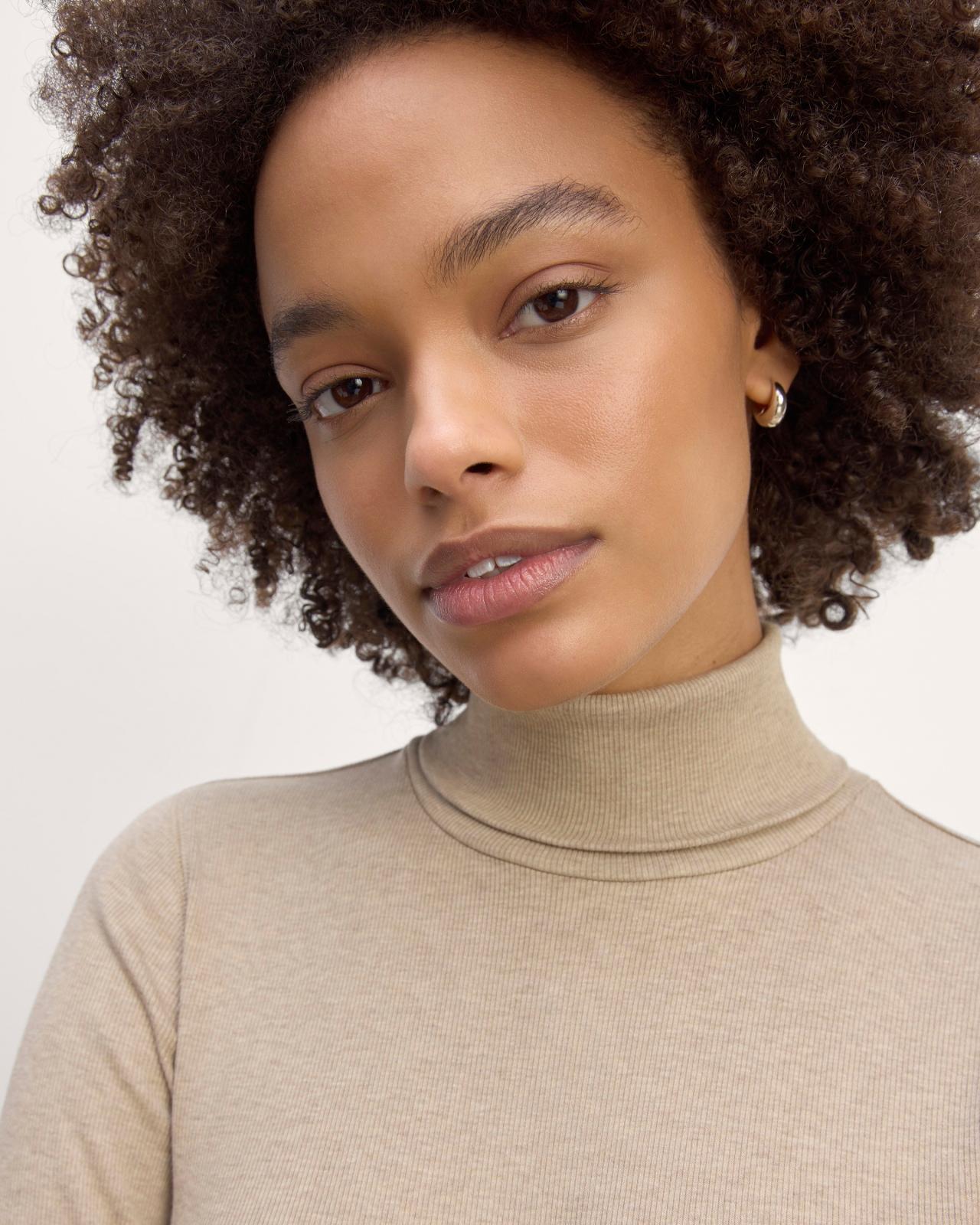 Womens Luxe Rib Turtleneck Sweater by Everlane Product Image