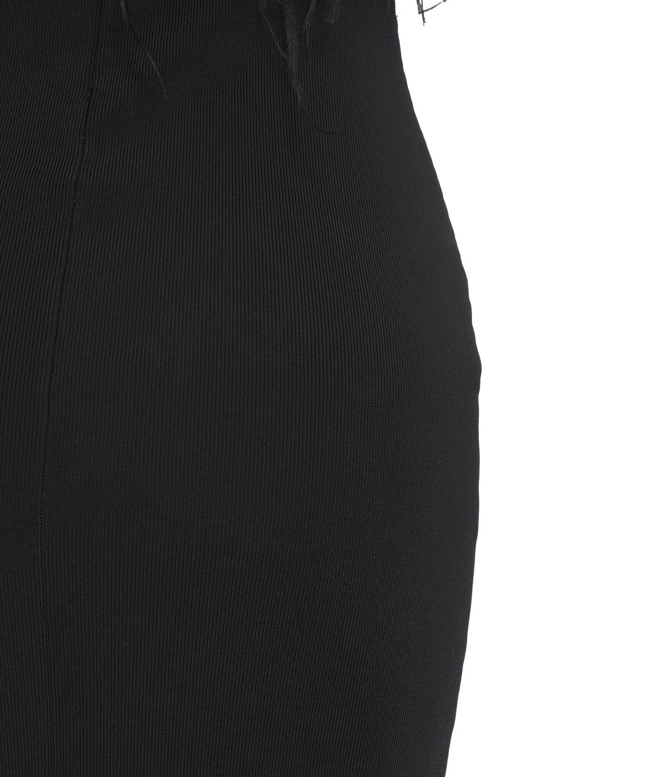 Maxi dress with feathers Product Image