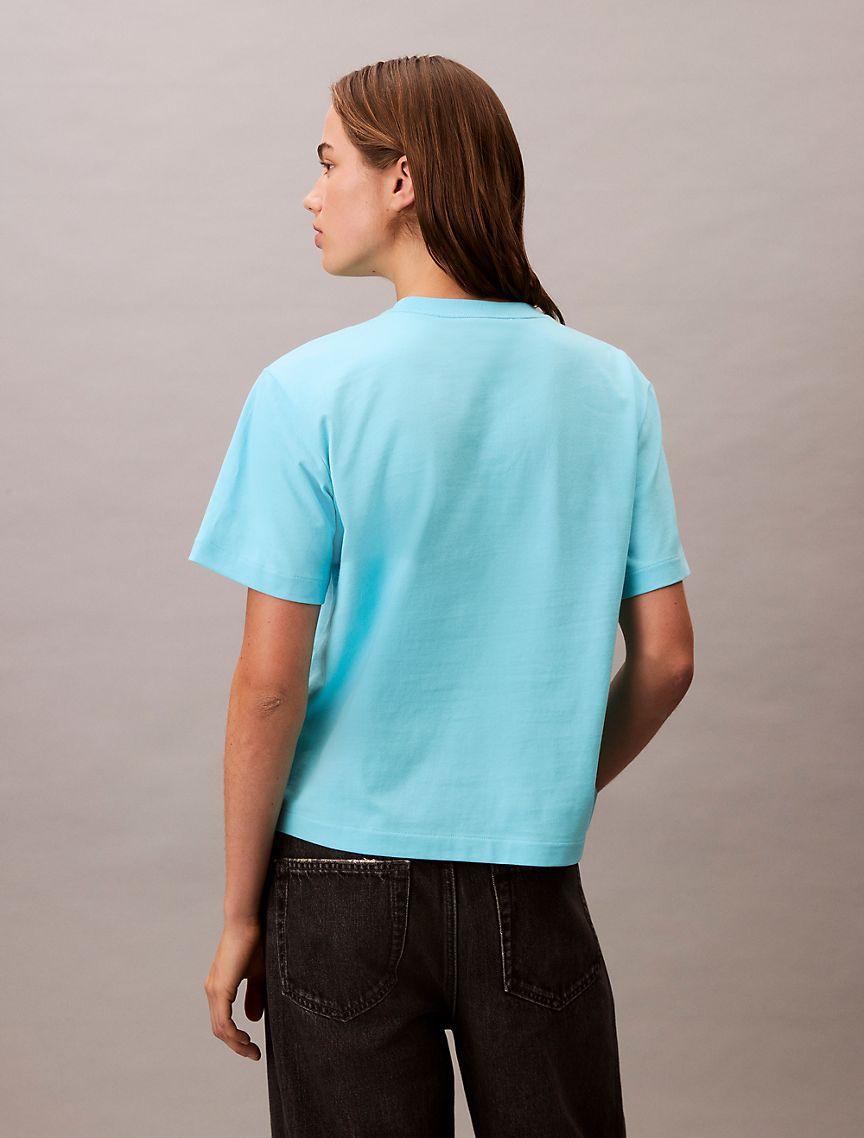 Standard Logo Boxy Fit Crewneck T-Shirt Product Image