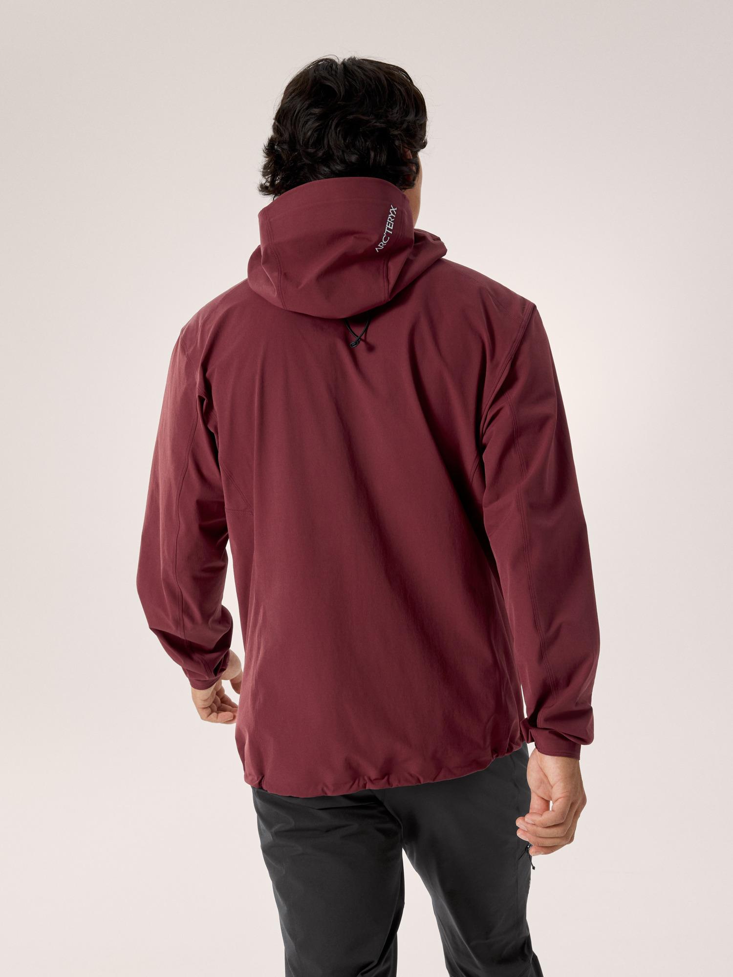 Gamma Hoody Men's Product Image