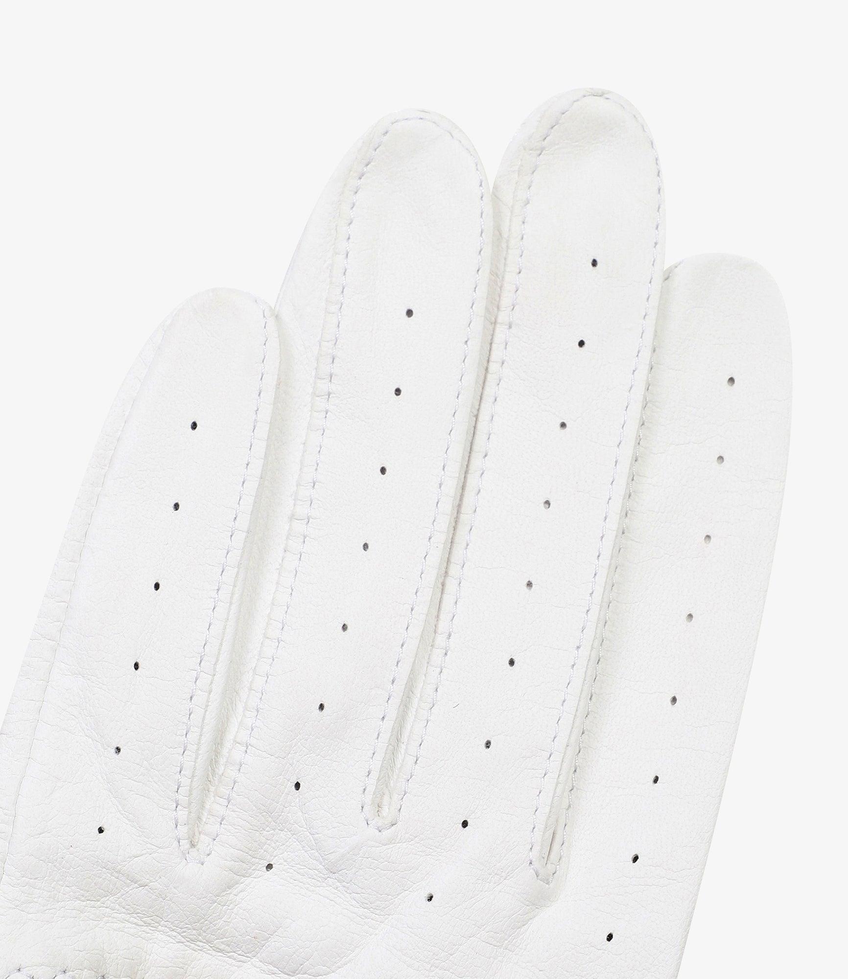 Joseph glove Male Product Image