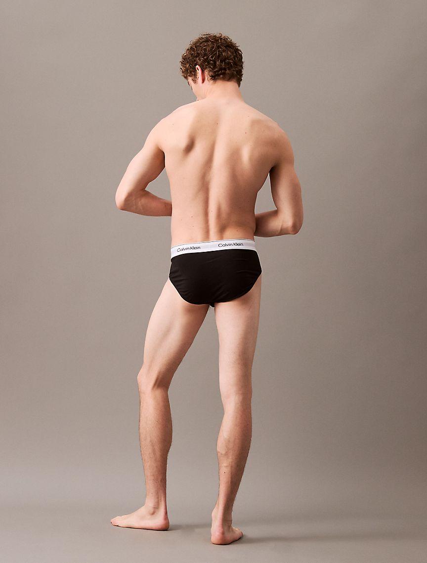 Icon Cotton Stretch 3-Pack Hip Brief Product Image