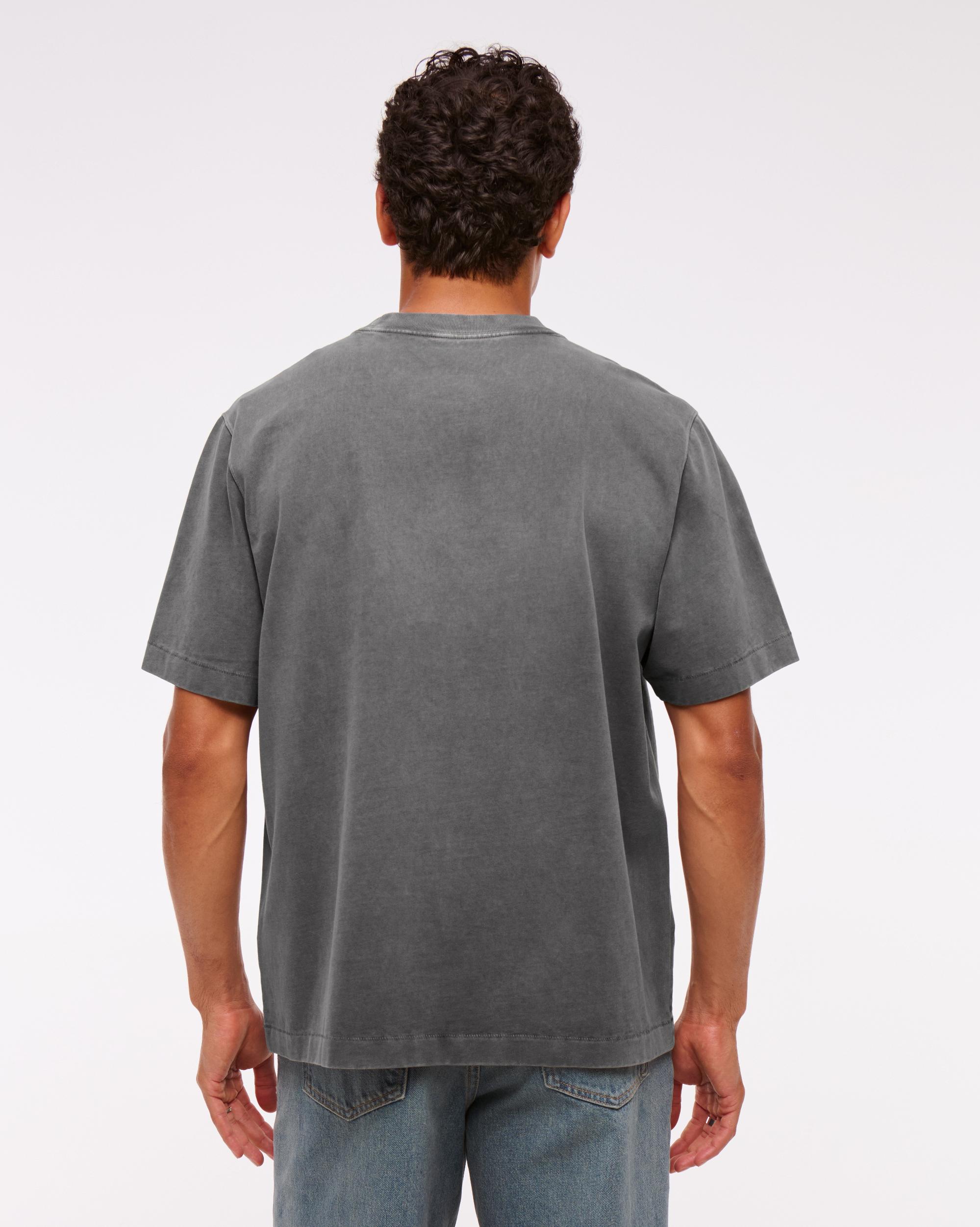 Premium Heavyweight 2.0 Tee Product Image