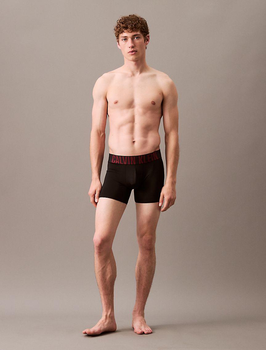 Intense Power Micro 3-Pack Boxer Brief Product Image