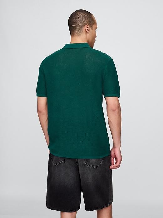 Textured Crochet Polo Shirt Product Image