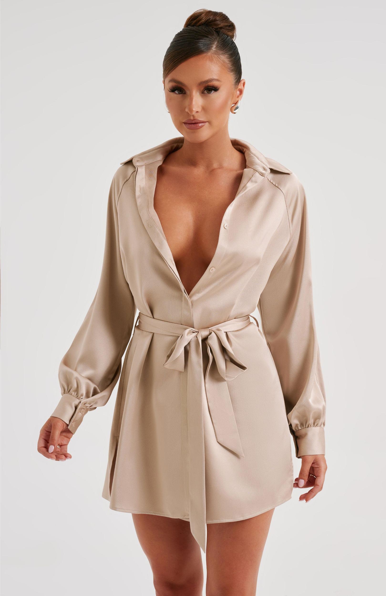 Kara Mini Dress - Champagne Product Image