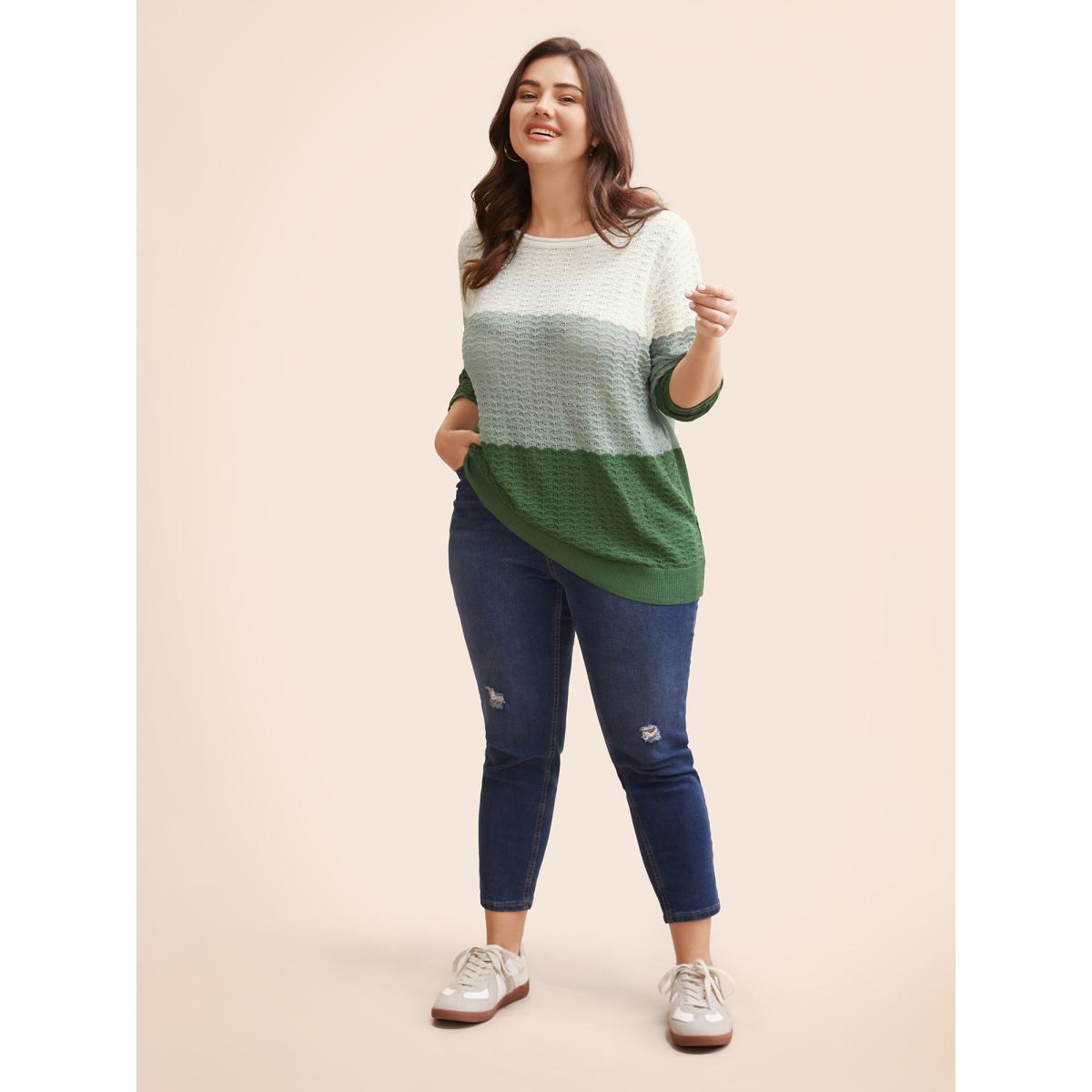 Plus Size Color Contrast Boat Neck Lightweight Pullover Moss Women Leisure Loose Long Sleeve Boat Neck Casual Pullovers BloomChic 18-20/2X Product Image