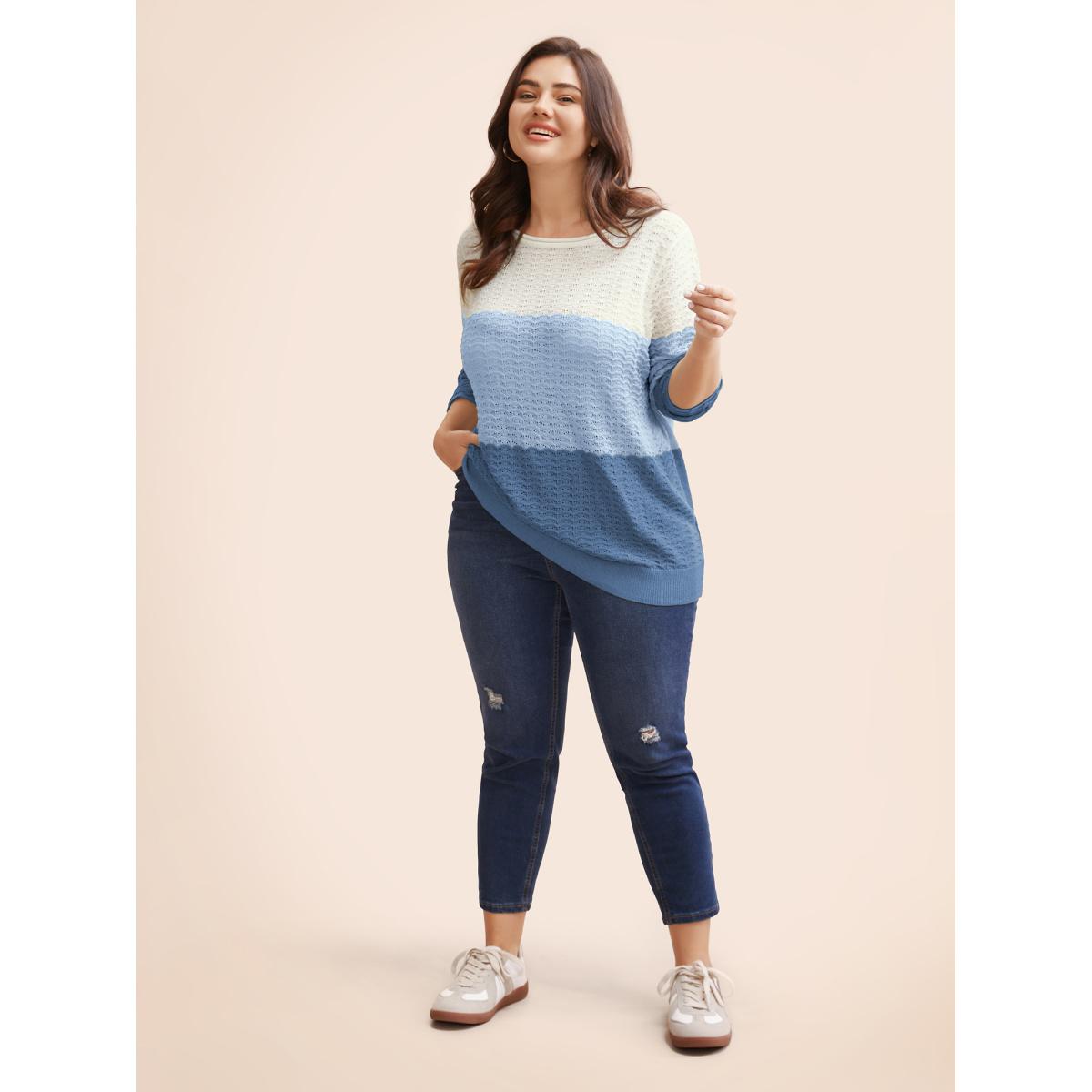 Plus Size Color Contrast Boat Neck Lightweight Pullover Skyblue Women Casual Loose Long Sleeve Boat Neck Everyday Pullovers BloomChic 10/M Product Image