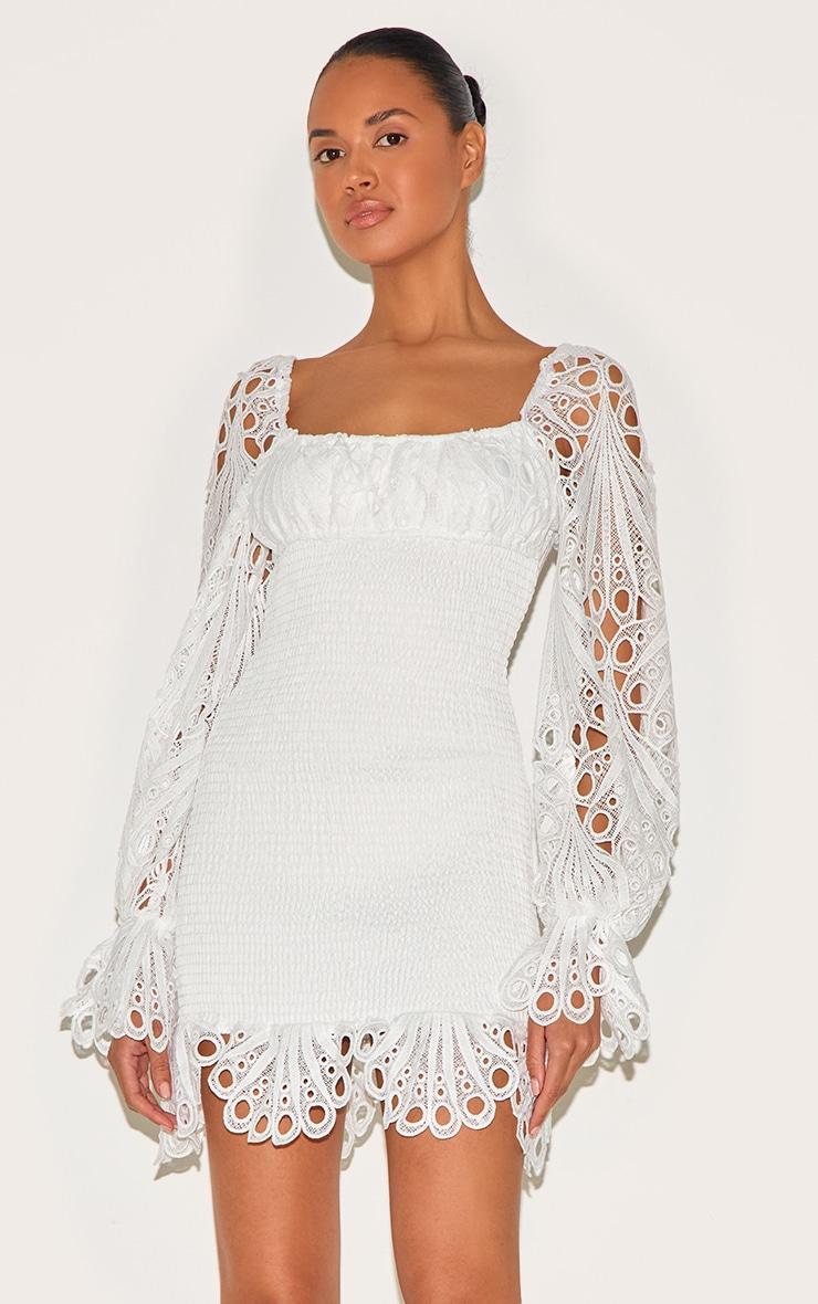 White Lace Sleeve Shirred Bodycon Dress Product Image