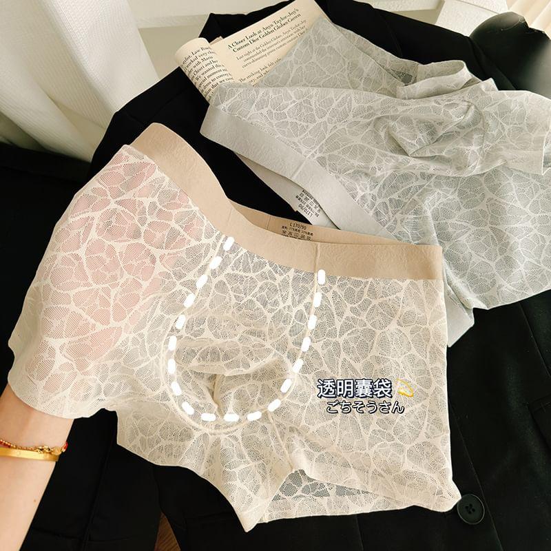 Lace Boxer Brief / Set Product Image