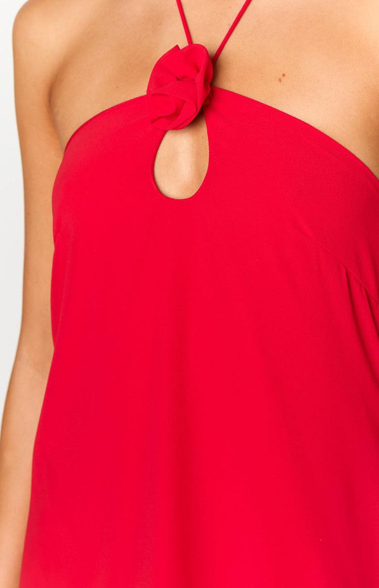 Ashlin Red Halter Mini Dress Product Image
