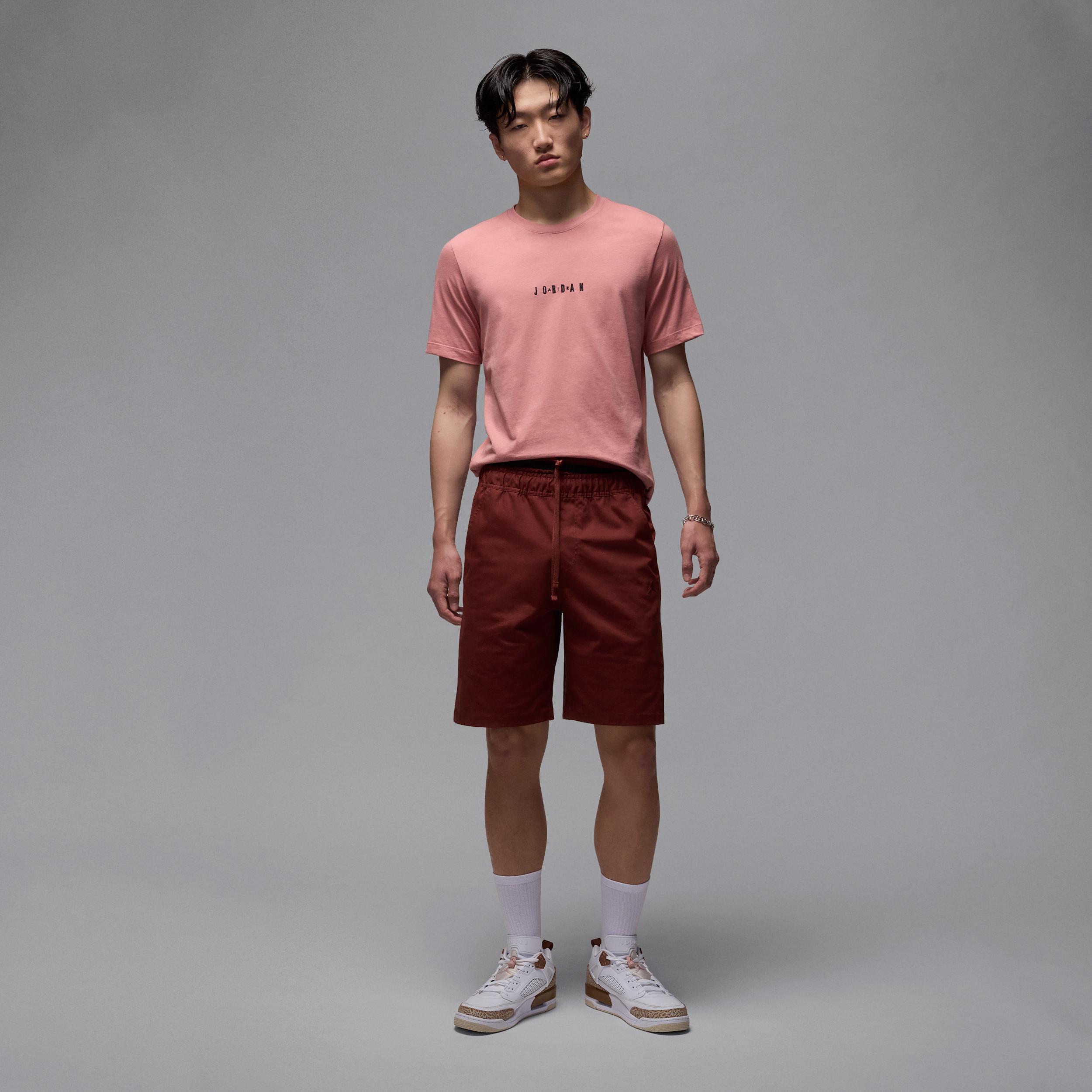 Mens Jordan Air T-Shirt | DM3182-685 Product Image