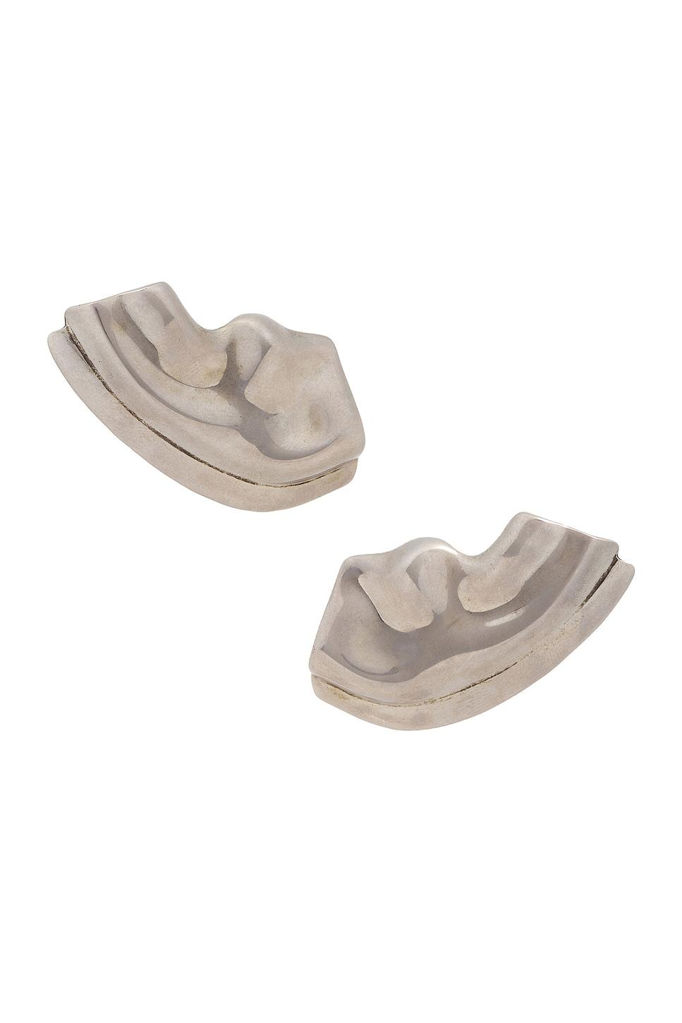 Amato Earrings Product Image