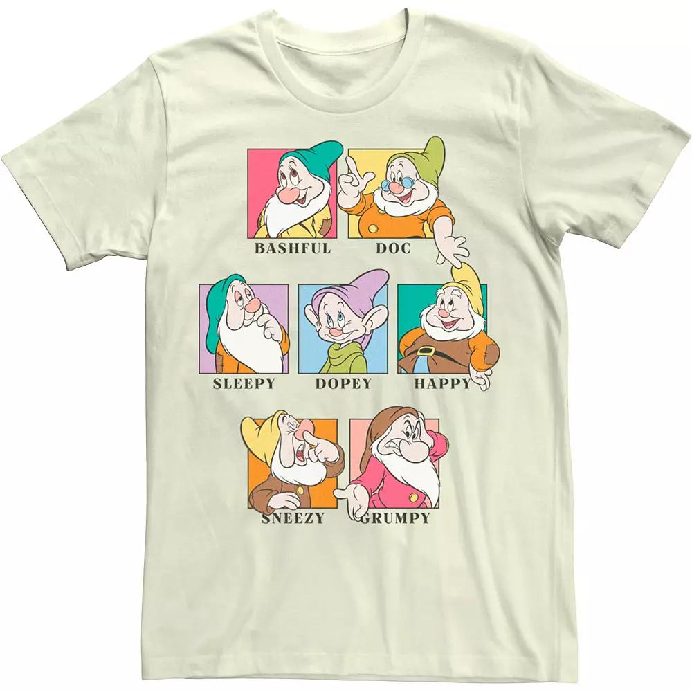Men's Disney Princess 7 Dwarfs Vintage Tee,  Product Image