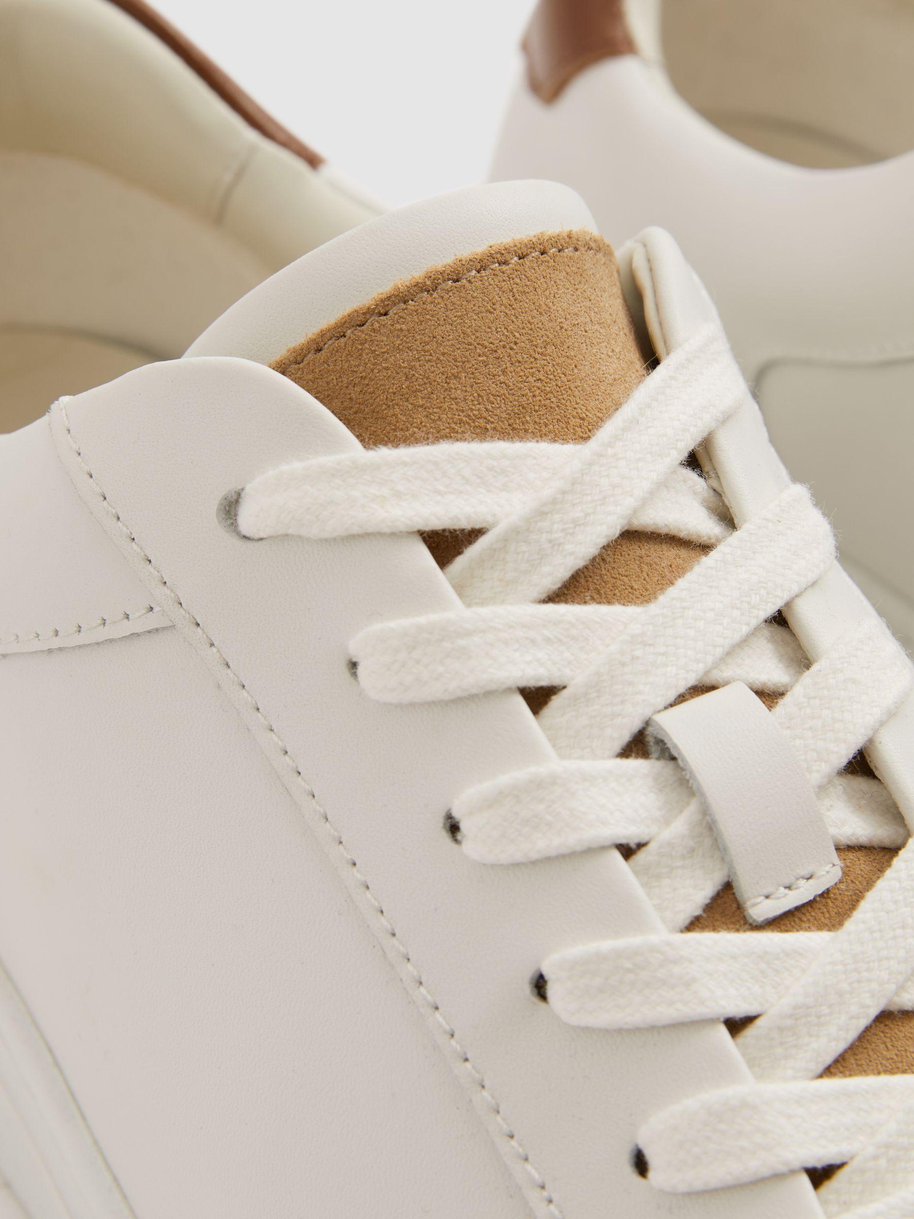Ashley Camel/Ecru Leather Suede Detail Trainers Product Image