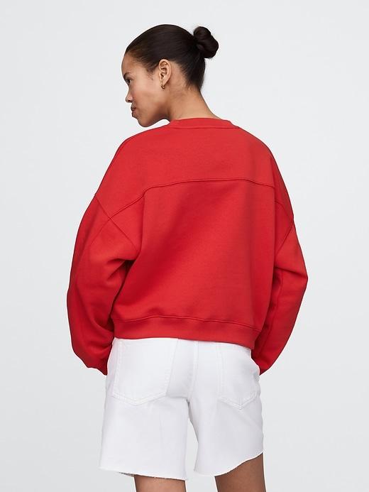 VintageSoft Wedge Crewneck Sweatshirt Product Image