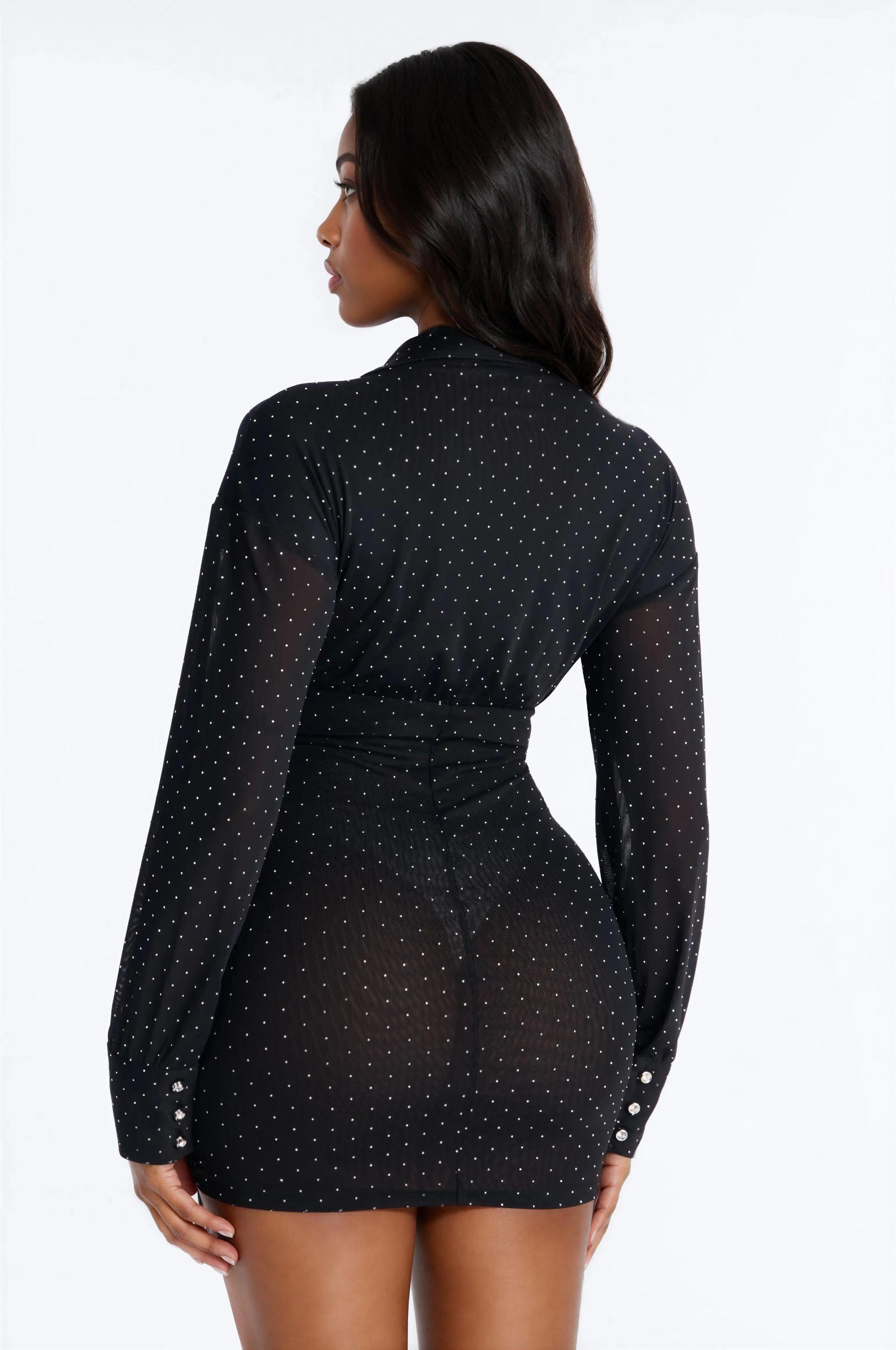 Kiara Embellished Mesh Mini Dress - Black Female Product Image