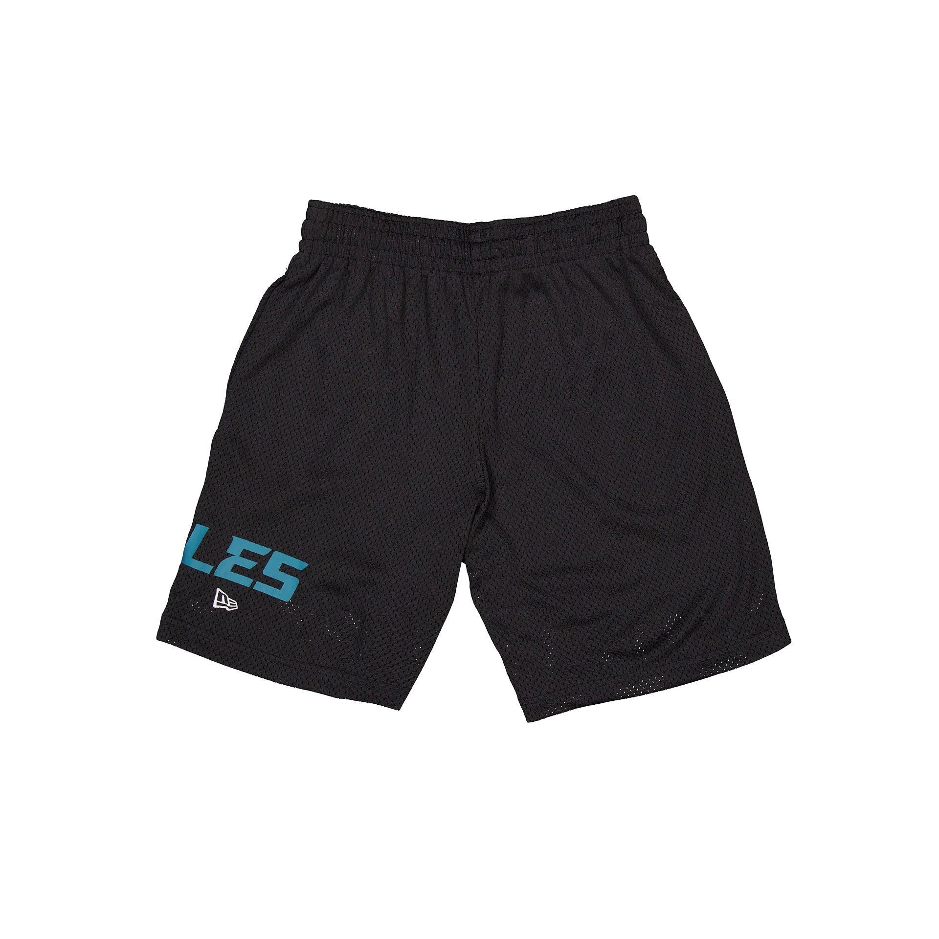 Philadelphia Eagles Mesh Shorts Male Product Image