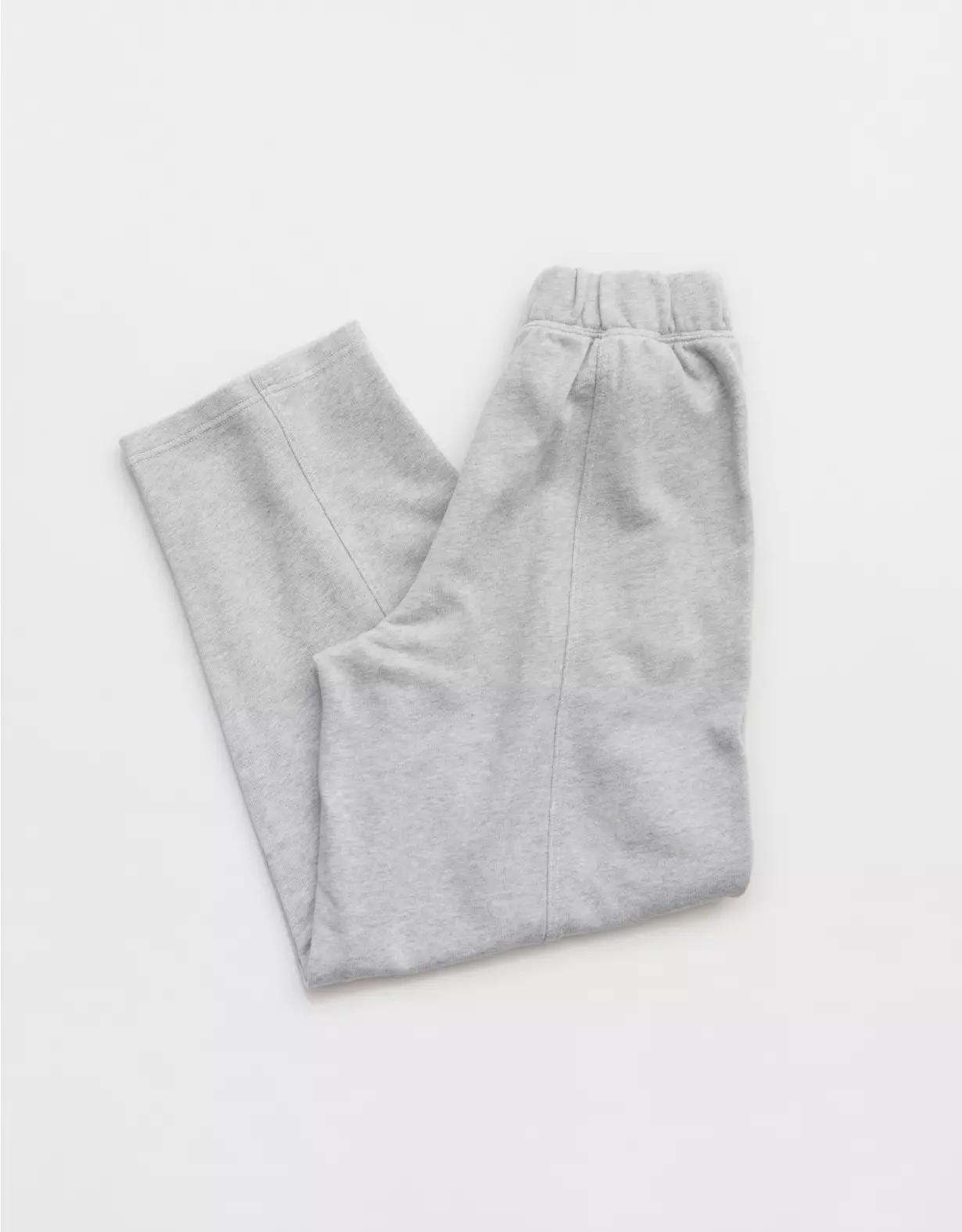 Aerie Seams Right Sweatpant Women's Product Image