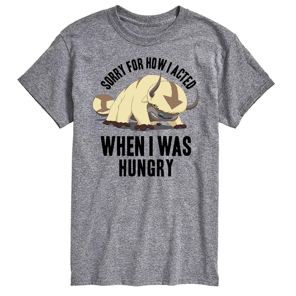 Big & Tall Avatar The Last Airbender Appa Sorry Graphic Tee, Men's,  Product Image