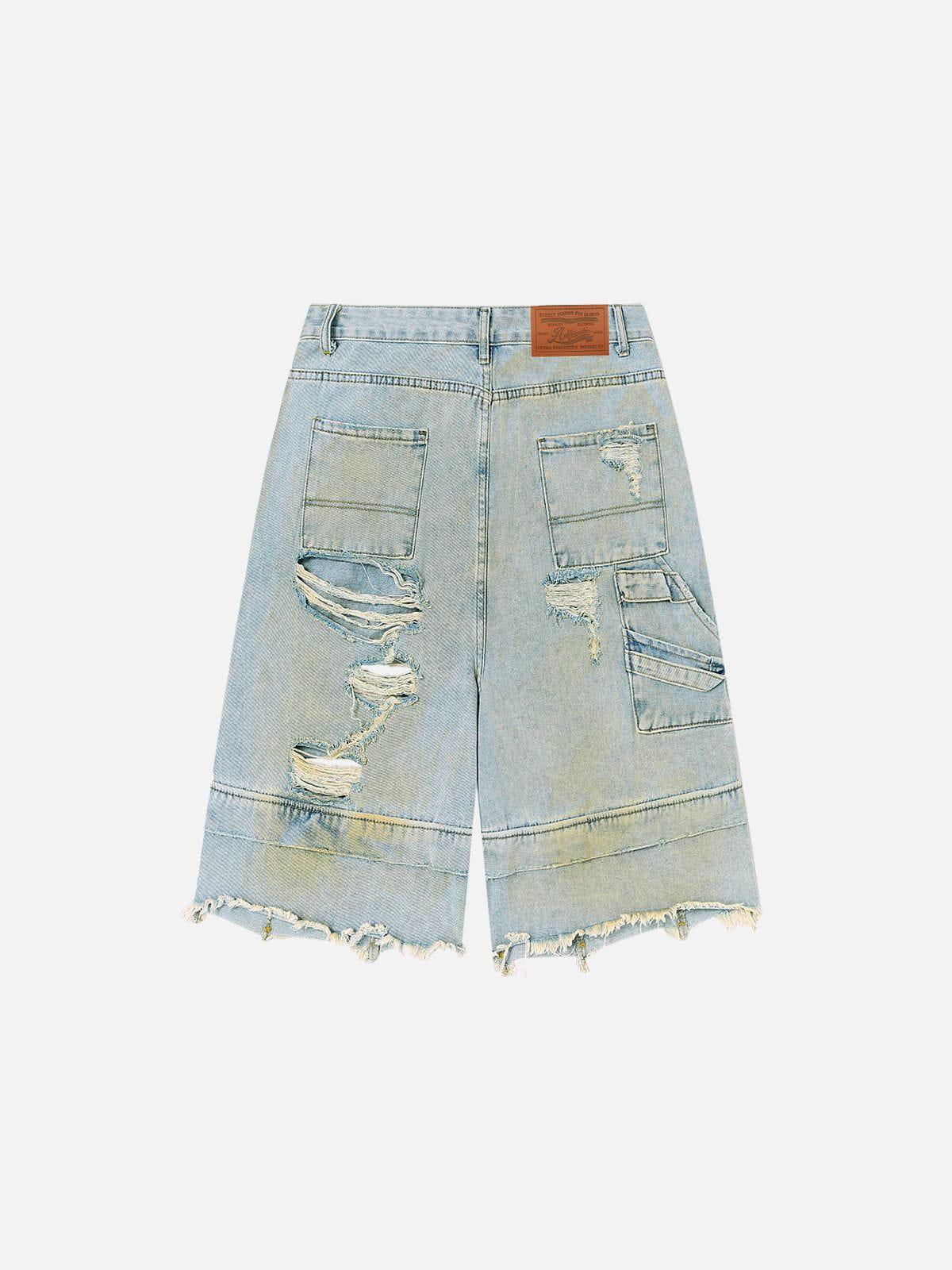 Aelfric Eden Two Layer Distressed Jorts Product Image