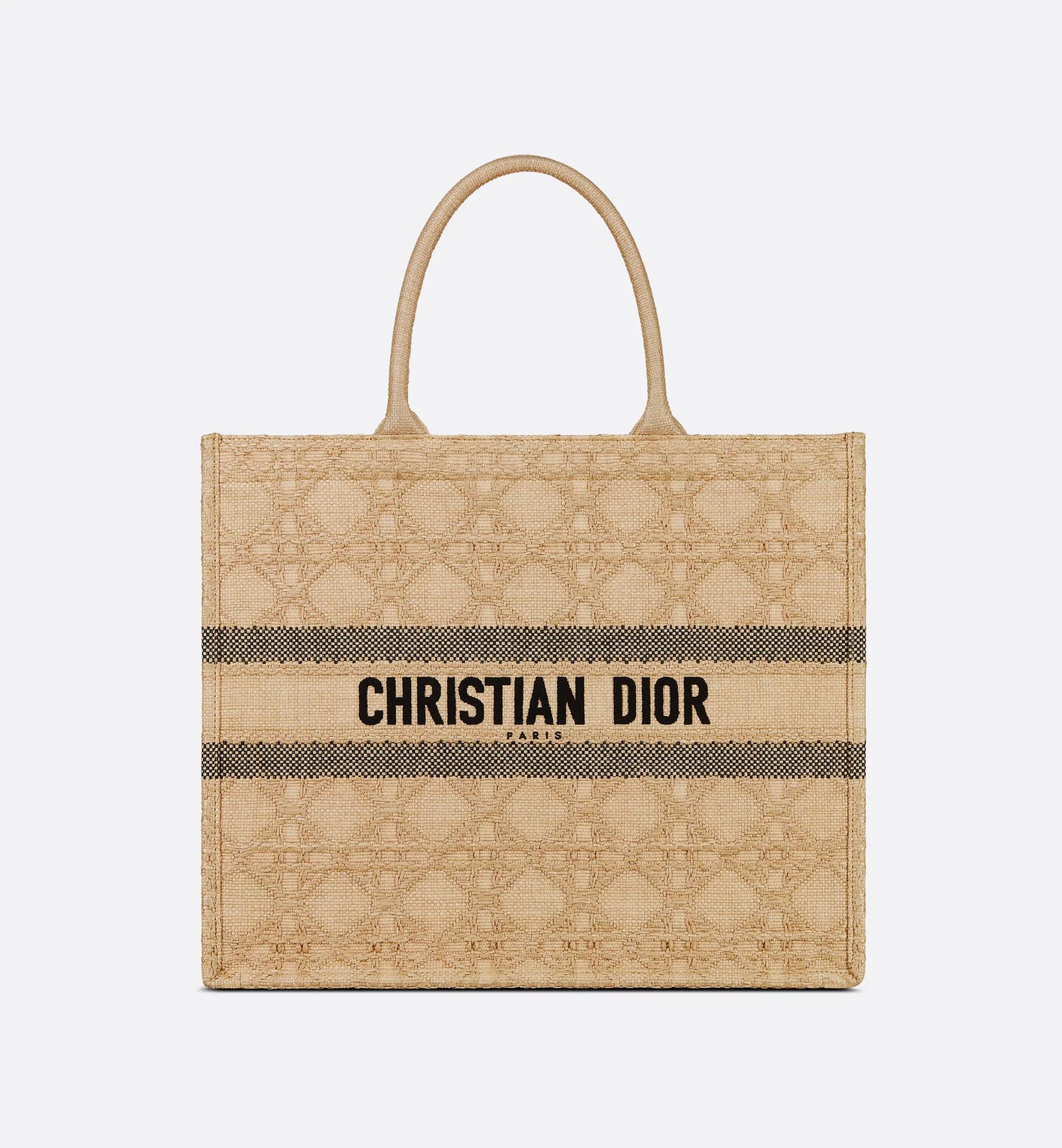 Large Dior Book Tote Product Image