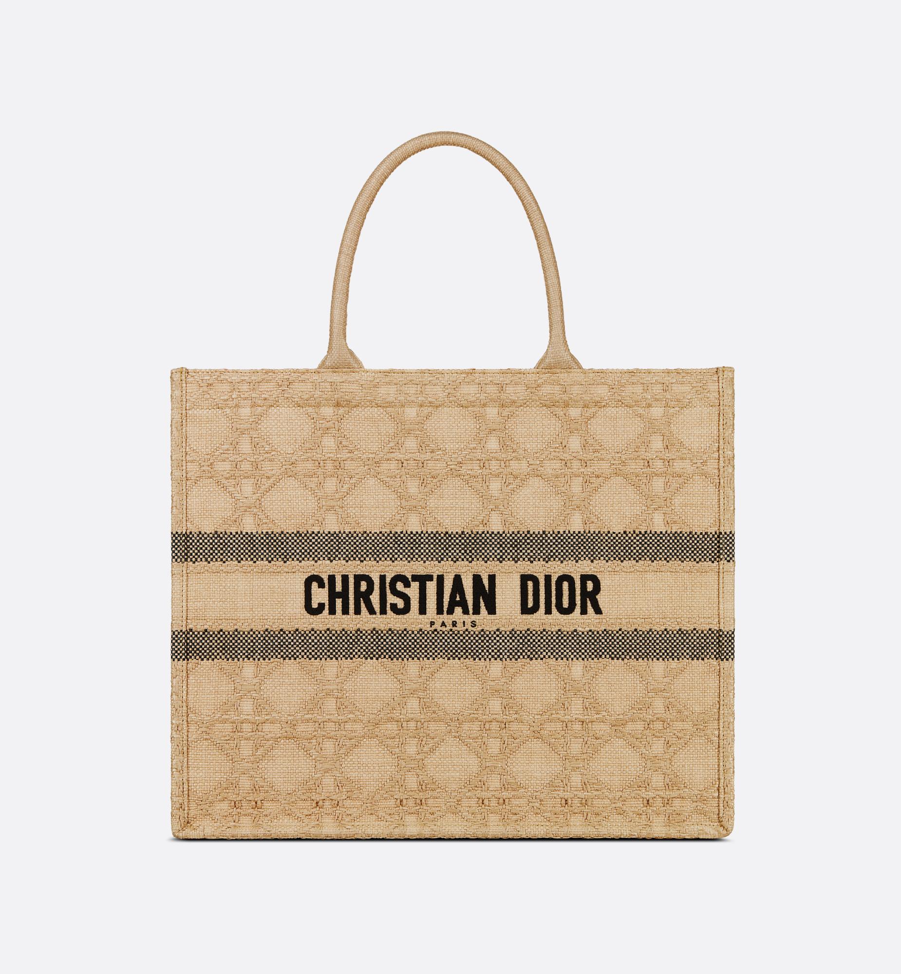 Large Dior Book Tote Product Image