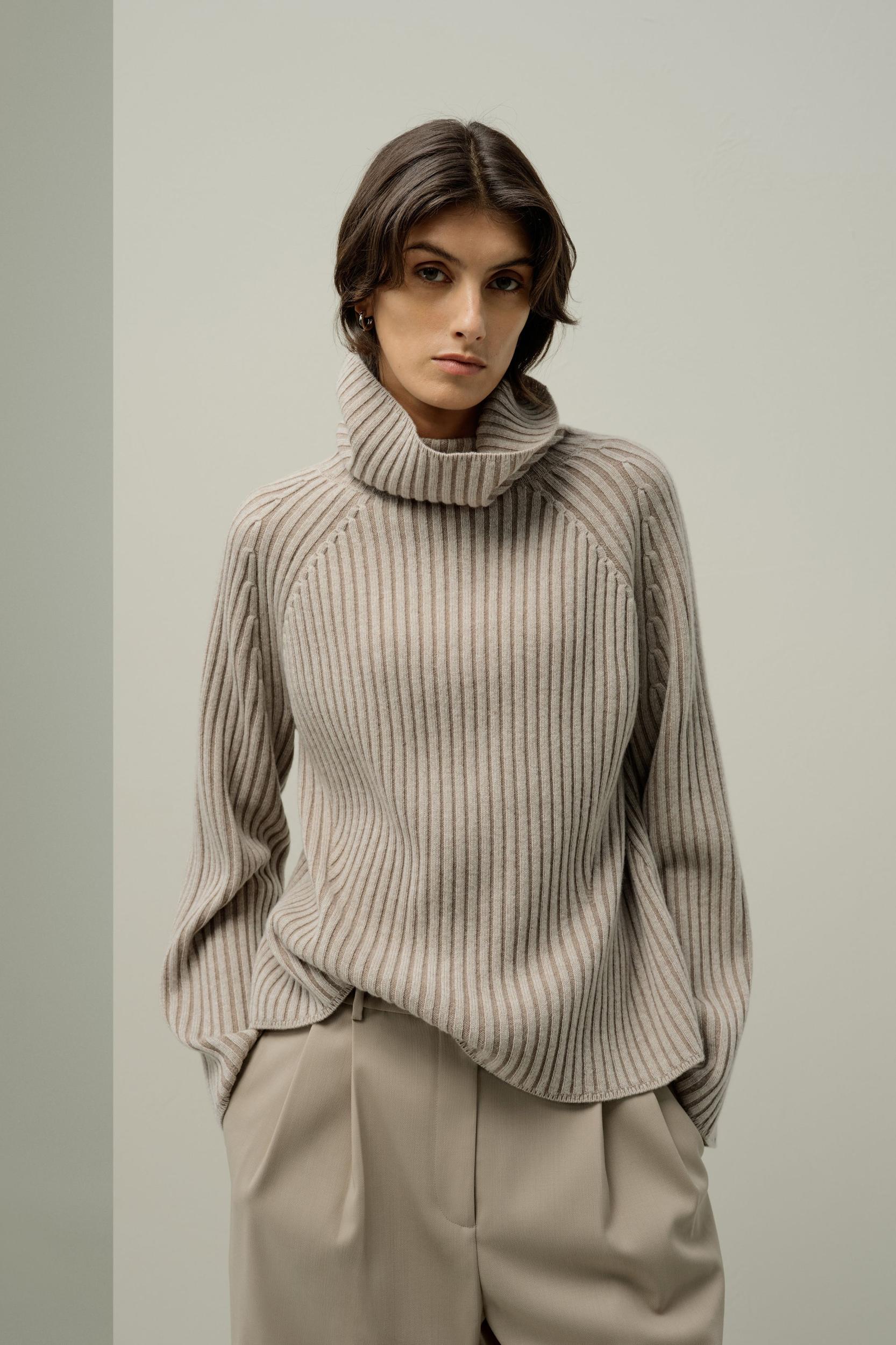Wool Cashmere Blend Turtleneck Sweater Product Image