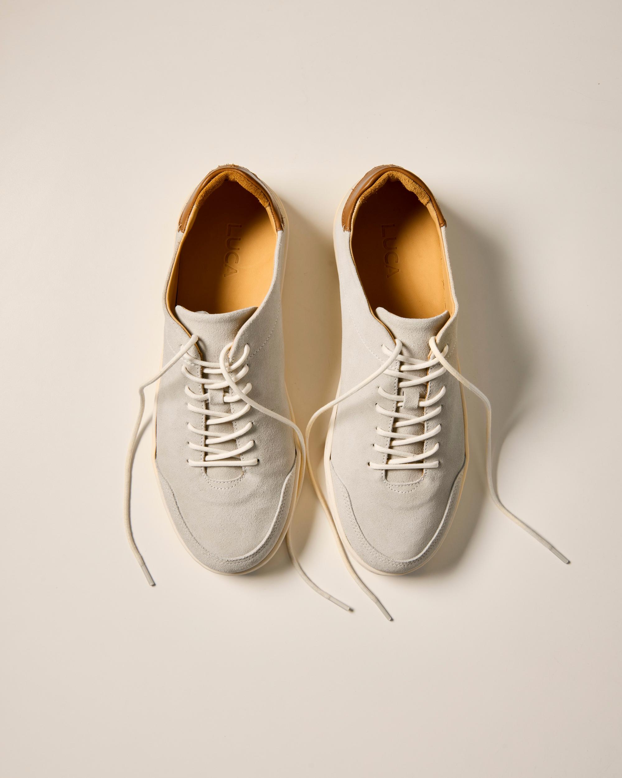 Suede Terra Low Sneaker Product Image