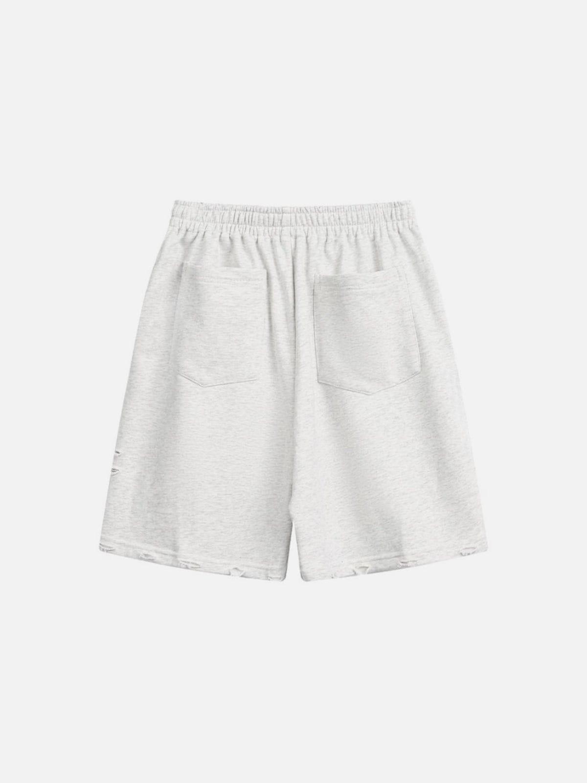Aelfric Eden Distressed Shorts Product Image