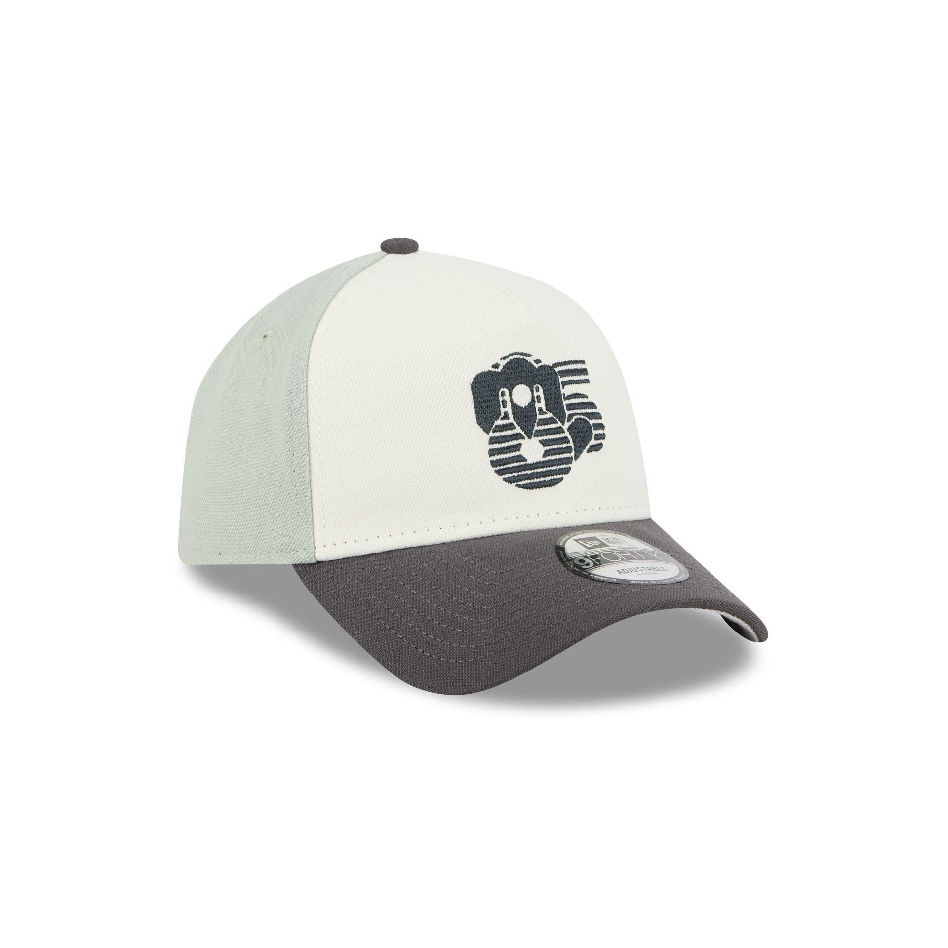 Diablos Rojos del México Mint 9FORTY A-Frame Snapback Hat Male Product Image