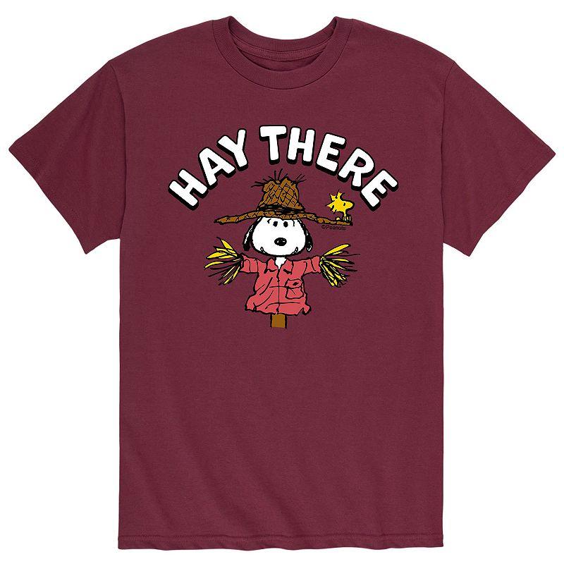 Big & Tall Peanuts Snoopy Hay There Tee, Men's,  Product Image