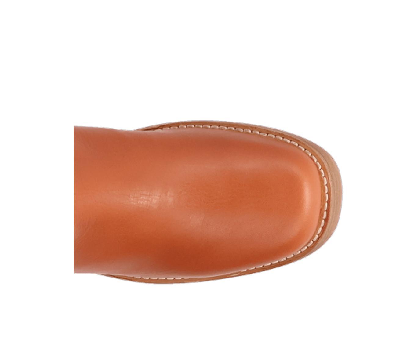 Women's Dingo Boot Roxy Booties Product Image