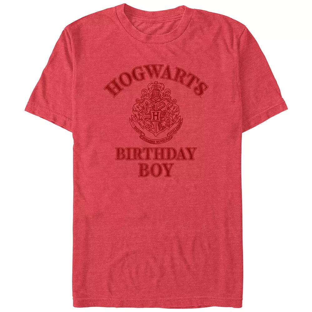 Men's Harry Potter Hogwarts Birthday Boy Graphic Tee,  Product Image