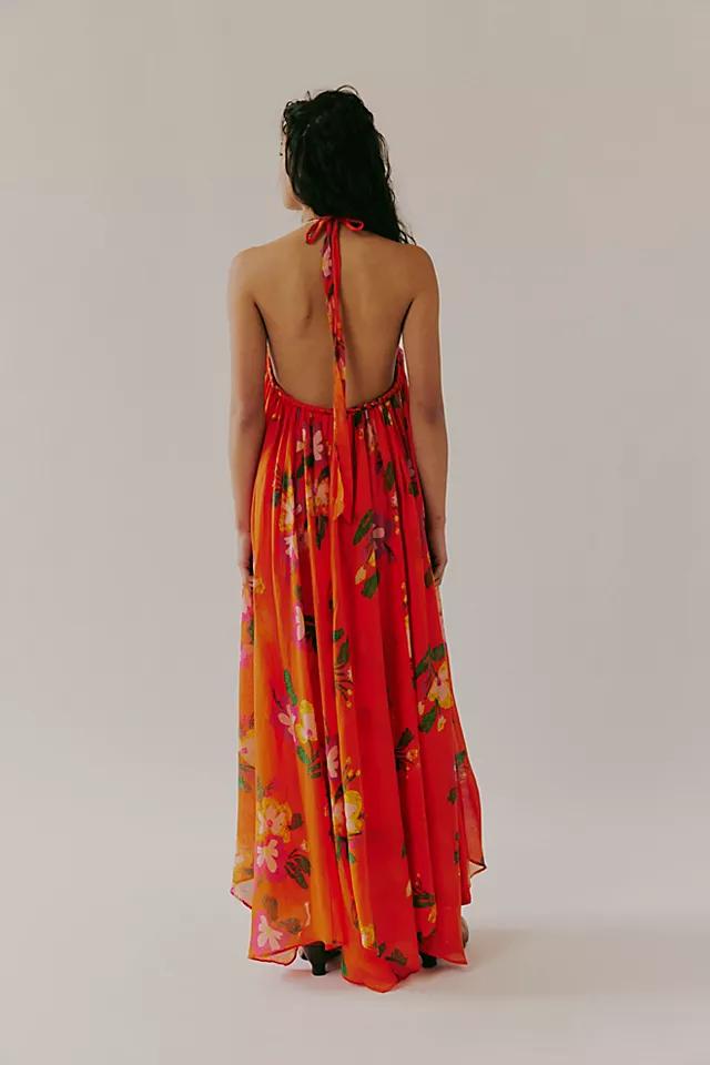 Flora Fabuloso Maxi Dress Product Image