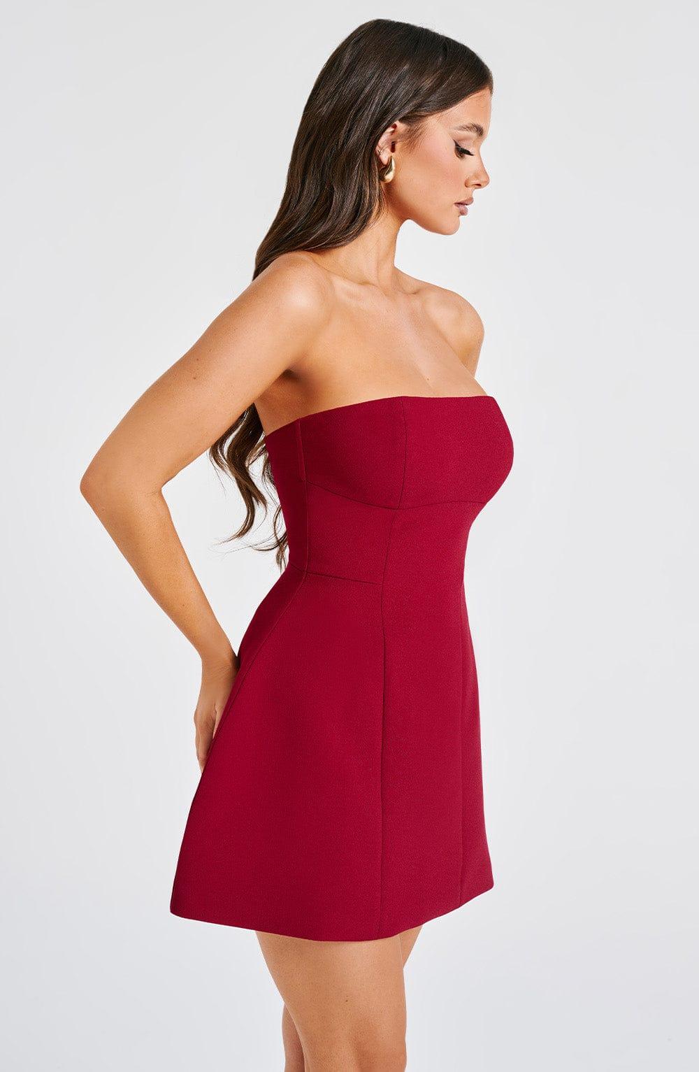 Asha Mini Dress - Wine Product Image