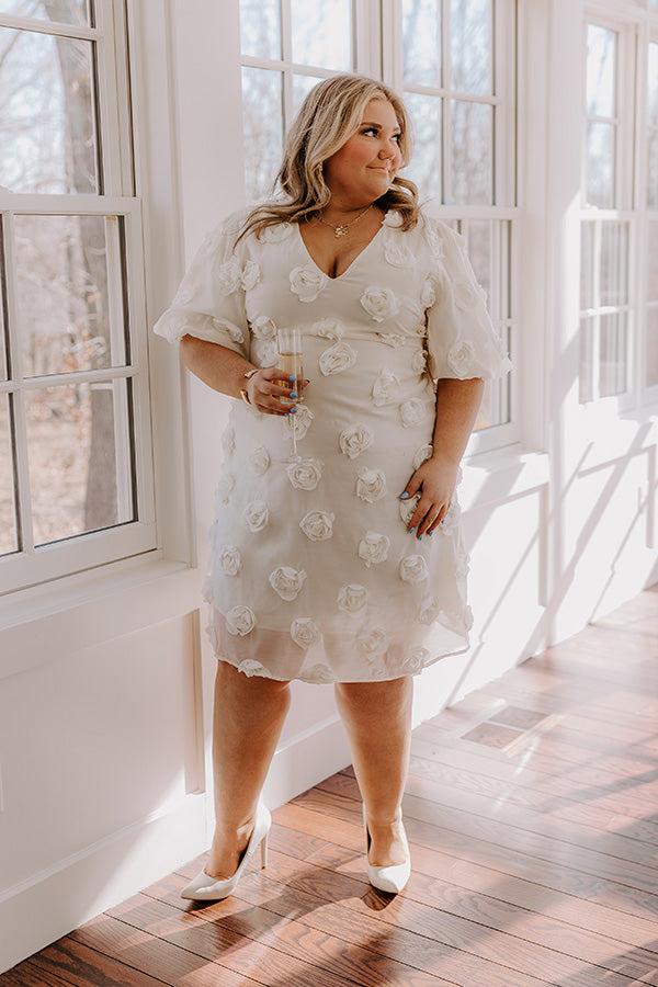 Dream Come True Applique Mini Dress in Cream Curves Product Image