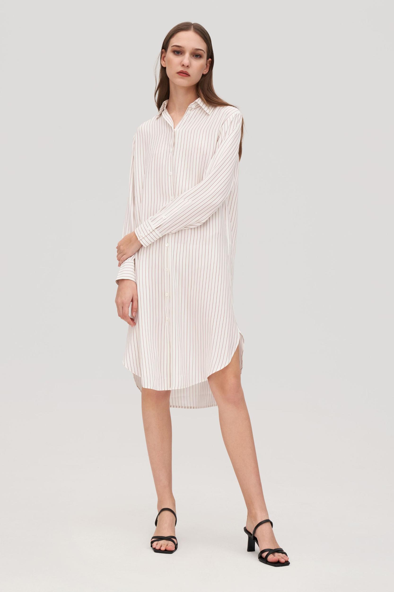 Pinstriped Freesia Shirt Dress Product Image