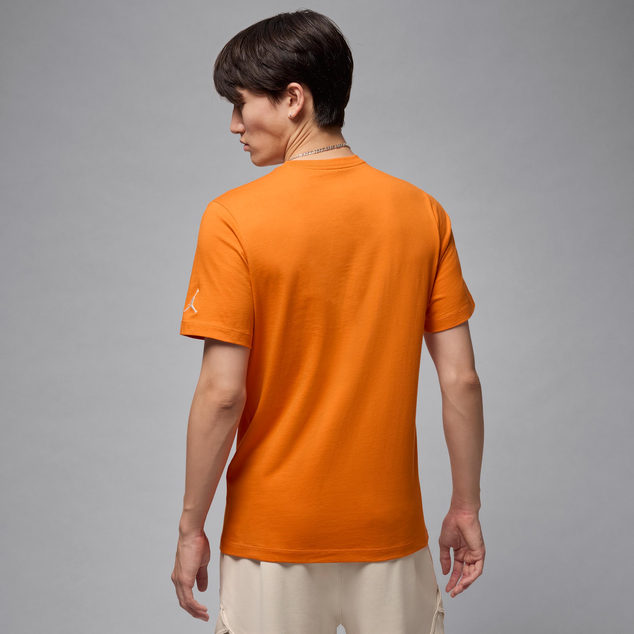 Mens Jordan Air T-Shirt | DM3182-805 Product Image