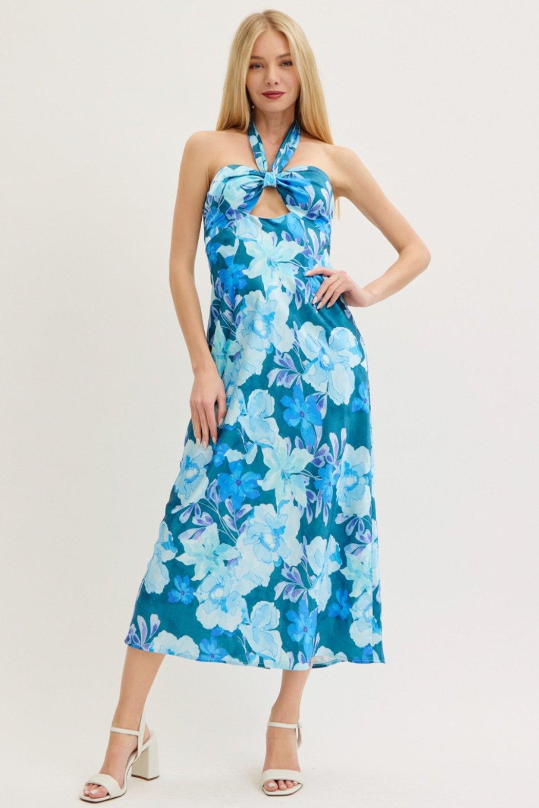 Blue Nile Maxi Dress Product Image