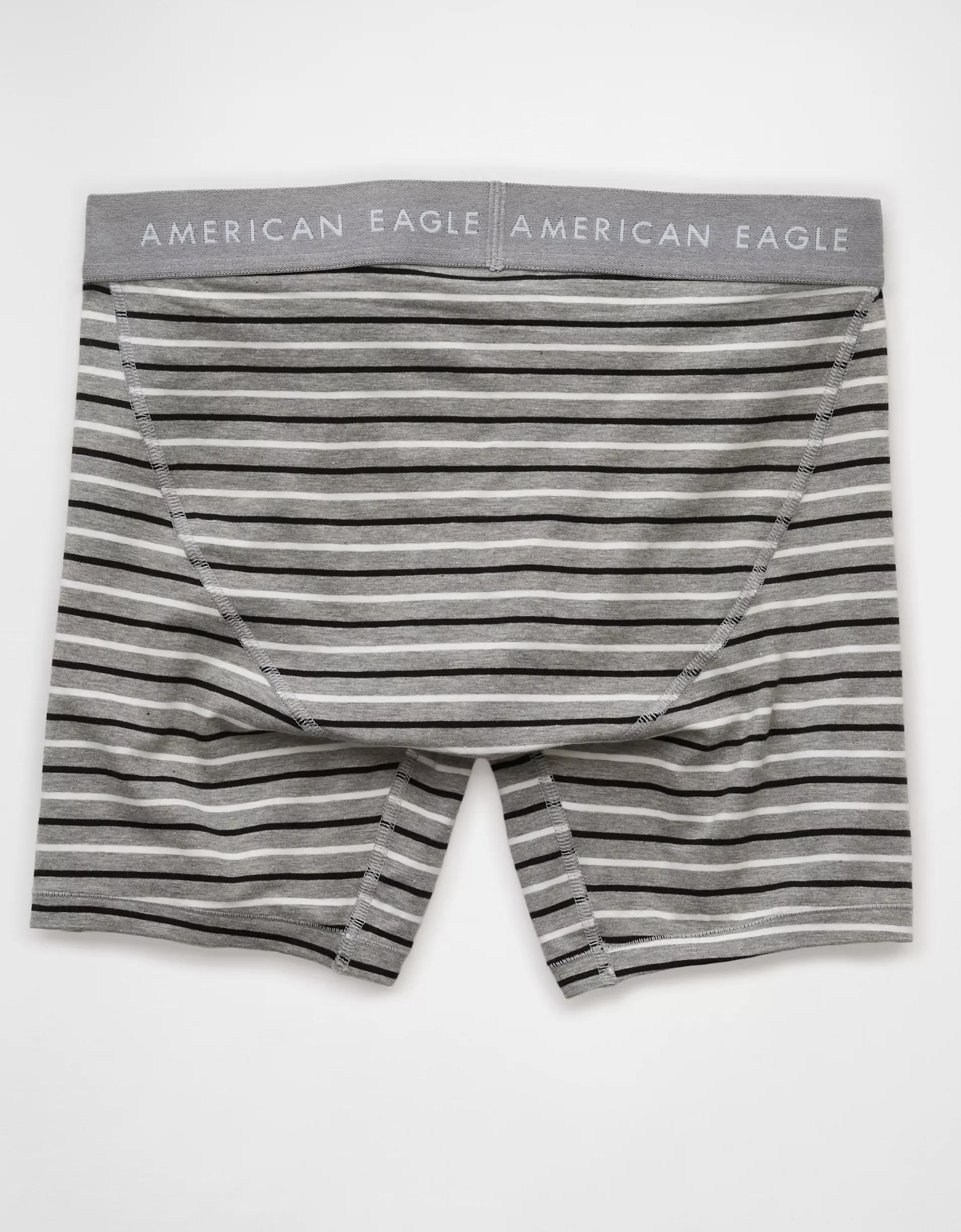 AEO Men's Striped 6" Classic Boxer Brief Product Image