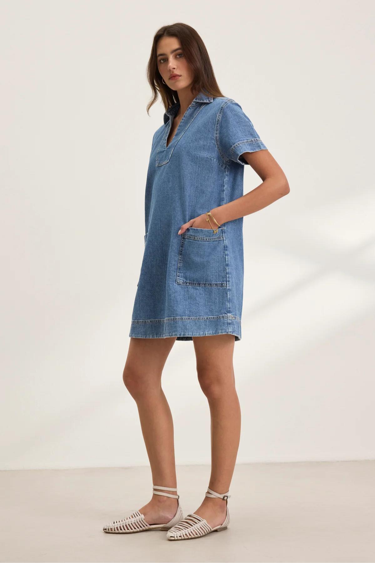 Delana Denim Dress Product Image